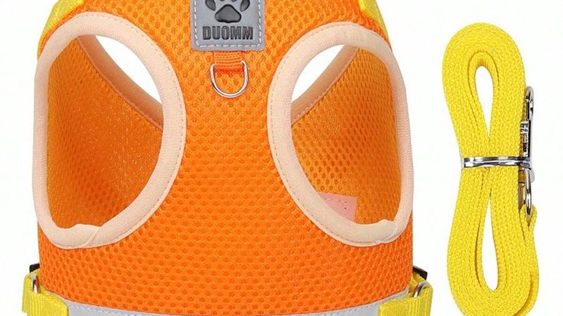 冷库板制作工艺流程解析：从材料到成品